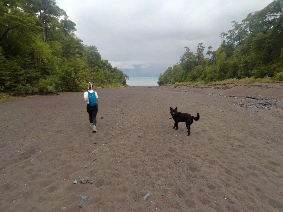 DCIM103GOPROGOPR5377.JPG