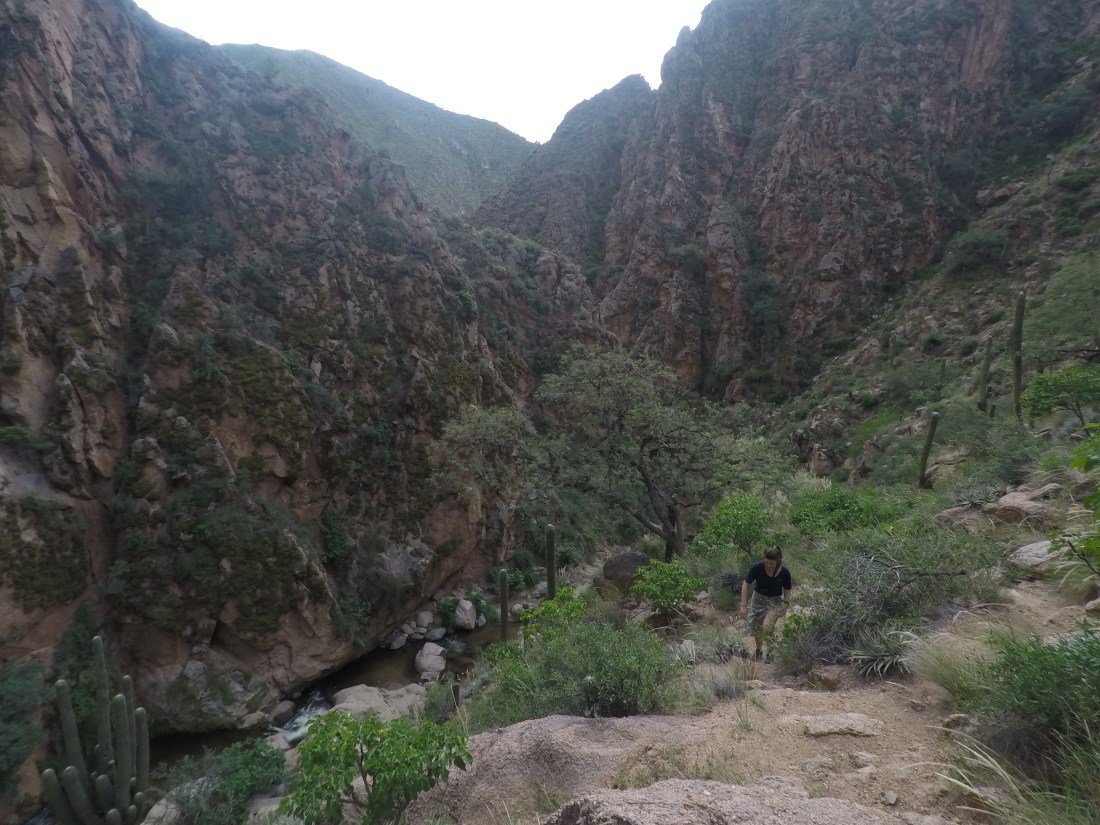 DCIM104GOPROGOPR6778.JPG