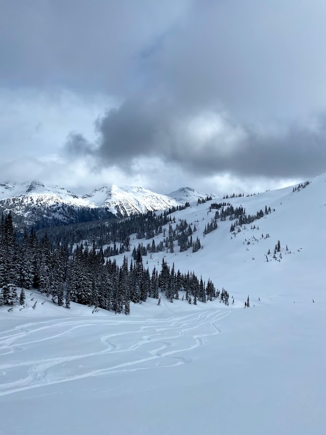 Whistler2