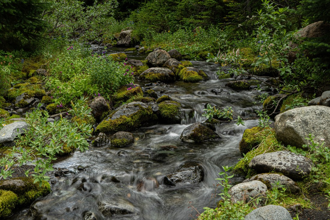 tusk-meadows-4